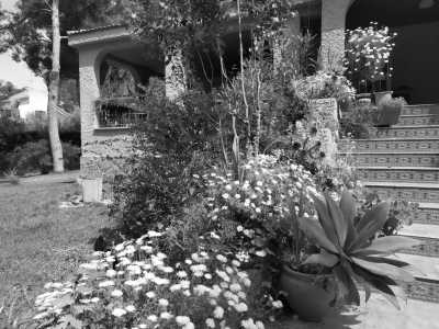 Spain - Bétera - Co-Working in Valencia 💃🏻 Spanish Vibes, Nature, Networking & a Huge Villa with Big Pool - 10