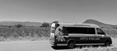 Mexico - Oaxaca - DAY OF THE DEAD AT OAXACA - 53