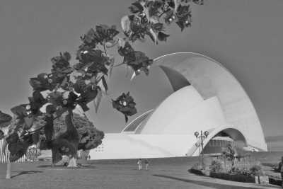 Spain - Santa Cruz de Tenerife - Escape Winter in Tenerife ☀️ - Embrace Nature's Beauty and Explore Pictureque Cities! - 2