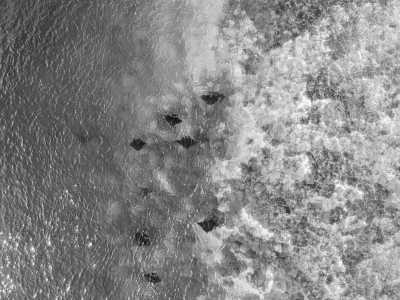 Indonesien - Maratua Island - The Beauty of Derawan Island : Diving, Sunbathing and Adventure - 4