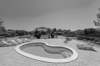 Spain - Alcúdia - Nature Retreat in Mallorca: Luxury Villa with Pool, Garden, near Beach and Magical Places - 3