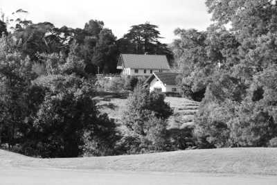 Portugal - Bio Quinta do Pântano Agro- Turismo - Madeira Let's Go! ✨ Hiking ⛰️ Yoga 🧘 Veggie Food 🥑 Beach 🏖️ and Sunrises/Sunsets 🌅 all in the beautiful Island of Madeira, Portugal - 3