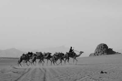 Jordanien - Wadi Rum Village - Jordan's Timeless Treasures: From Amman, to Petra, Wadi Rum, and Aqaba - 2