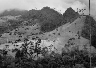 Colombia - Colombia Guided Trip: Nabusimake,  Sierra Nevada de Santa Marta Trekking in a Coffe Finca of a Mamo Elois - JoinMyTrip