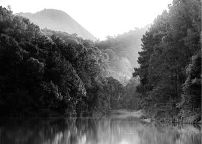 Pakistan - Sharan Forest Glamping - Serenity of Sharan Forest: Discover Pakistan's Hidden Gem for a Tranquil Escape - 1