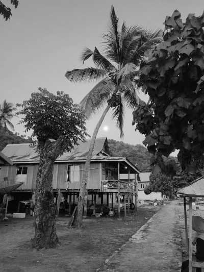 Indonesia - Labuan Bajo - Impact Trip on Indonesian Independence Day and Exploring Komodo National Park, Island Hopping and Many More. - 5