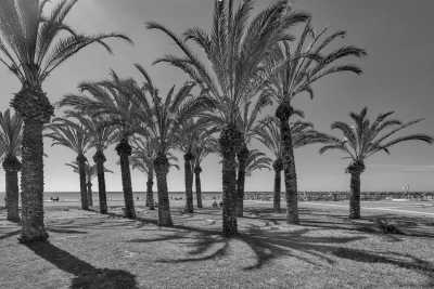 Spain - Torremolinos - South of Spain Adventure Trip : tapas, wine, hiking, cycling, castles and St John celebration on the beach! - 1