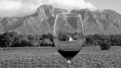 South Africa - Cape Town - Excursion to Alluring Cape Town - Wine, Peninsula & Hop on, Hop off bus tours