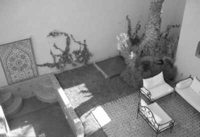 Morocco - EDEN Palm grove - Marrakech, Morocco Travel worry-free (Yoga, discovery, food and tours) - 5