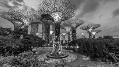 Singapore - Gardens by the Bay - Travel like a local in Singapore 🇸🇬🌴: Discover the beauty of this country and the amazing food 🍛