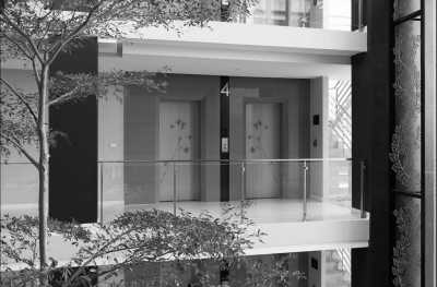 Thailand - Phuket - Swimming with Elephants and Snorkeling in Phuket, Thailand: Island Paradise, Majestic Elephants, Spectacular Snorkeling, and Local Cuisine - 18