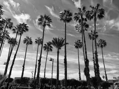 Marokko - Koutoubia - Exploring Marrakesh, Morocco While CoWorking - 3