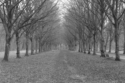 United Kingdom - Greenwich - Enthusiastic Travel in London: Uncover the Vibrant City's Charms