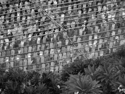 Thailand - Bangkok - 🇹🇭 Nordthailand & Buddhismus entdecken - Bangkok, Königreich Sukhothai & 3 Tage leben wie ein Mönch im Schweigekloster 🍻🏯🌿🐘 - 2