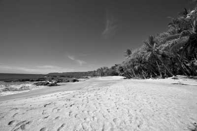 Costa Rica - Montezuma Beach - Unforgettable Costa Rica Adventure: The Trip of a Lifetime