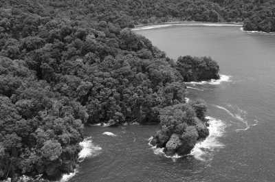 Colombia - Arusi - Whale Watching in Nuquí - Colombia: An Adventure to Remember