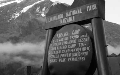 Tansania - Karanga Camp - Scale Kilimanjaro: 7-Day Lemosho Route Summit Ascent in Tanzania