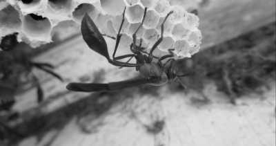 Western Africa - Buniadu - Abenteuerreise nach Afrika - Gambia 😊 - 9