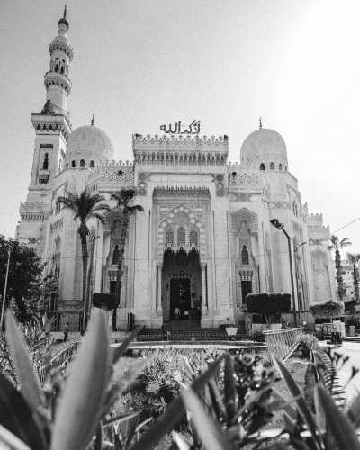 Egypt - Cairo - Egypt Adventures - Cairo Highlights, All-Inclusive Nile Cruise & Relaxing Hurghada Beaches! - 3