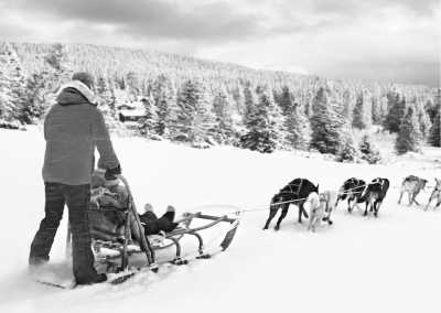 Sweden - Jokkmokk - Experience an Unforgettable Arctic Adventure: Sled Dog Rides, Snowmobiling, and More in Sweden - 1