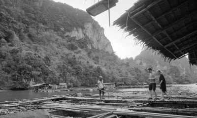 Thailand - Laem Sak - Unplug in Thailand's Paradise: Devices Less and More Human Interactions☺️❣️with Volunteering, Muay Thai, Diving and Many More (with Private room) - 1