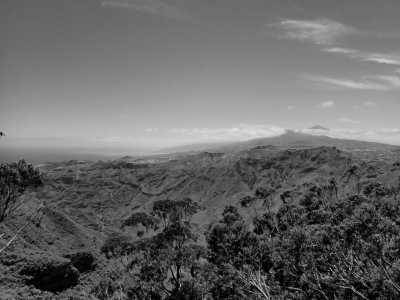 Spain - Taganana - Discover Tenerife's Hidden Gems on a Guided Trip Off the Beaten Track - 2