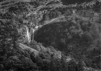 Sri Lanka - Nuwara Eliya - Sri Lanka's Best Spots In One Week - wild Elephants on Safari, Local food and more! - 1