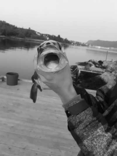 Norway - Alesund - Magic Norway - a beauty of Norwegian nature and culture. - 4