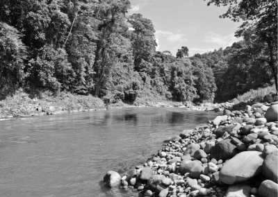 Costa Rica - Caribbean Coast Exploration in Costa Rica with a Local Guide: Discover the Hidden Gems! - JoinMyTrip