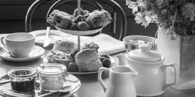 United Kingdom - Mistley - Walk the footpaths of Essex and Suffolk, England, UK -  Single room with ensuite - 3