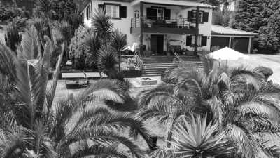 Portugal - Homeoffice Madeira | CoWorking + CoLiving - Madeira SPECIAL ADVENTURE w/ local guide : A One Of A Kind Hiking Adventure in Madeira: Explore the Island's Trails and Discover Hidden Paths Off the Beaten Track - 6