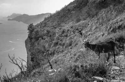 Italy - Path of Gods - Sightseeing and Hiking on the Amalfi Coast with Accommodation Just 250m from the Beach - 4