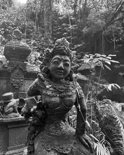 Indonesien - Uma Cekingan - 7 days in Bali Exploring Nature & Culture on an Island Paradise 🌊 - 5