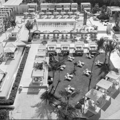 United Arab Emirates - DRIFT Beach Dubai - Girls trip to Dubai: Luxury Skyscrapers, Safari Thrills, Beachfront Bliss, Aquatic Adventures, Pool Vibes, and More!🌞 - 2