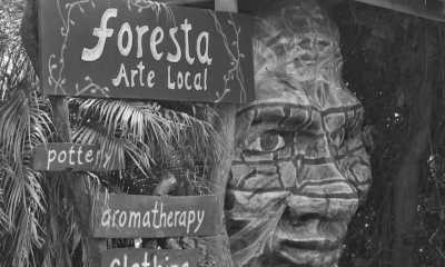 Costa Rica - Monteverde Cloud Forest Biological Preserve - Majestic Adventures in Costa Rica: Beaches, Volcanoes, Hot Springs, Cloud Forest, and Pura Vida Lifestyle! - 4