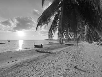 Thailand - Ko Tao - 14 days: Exploring Koh Samui, Koh Phangan & Koh Tao | Incl. a Night at the famous Full Moon Party - 2