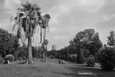 Spain - Barcelona - Explore the best of Barcelona! Wine, Tapas and More! - 6