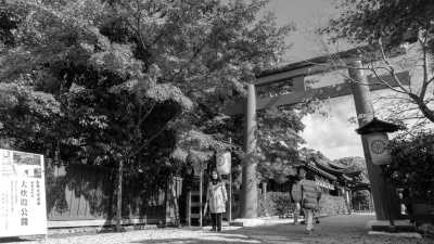 Japan - Nagoya - 9 Days of Japan Journeys: Unveiling Autumn's Charms in Osaka, Kyoto, Nagoya, Tokyo! - 5