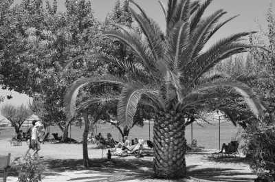 Greece - Lesbos - Co-Working Trip with a Local on the Greek island of Lesvos 💻🇬🇷