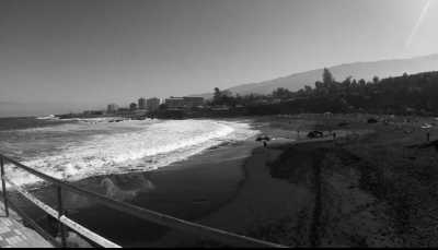 Spain - Puerto de la Cruz - Carnaval & More 🥁🌴  Let's enjoy Tenerife's nature, mountains and beaches during the day, and party at the biggest Carnaval of Europe on various evenings 💃🏽 - 7