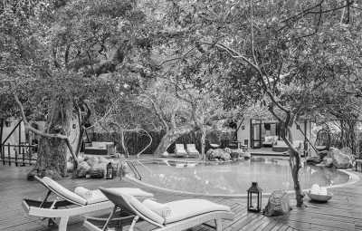 Sri Lanka - Trincomalee - Explore Sri Lanka in LUXURY!! Stunning Beaches, Mountains, Waterfalls and Jungles I 15 Days - 1