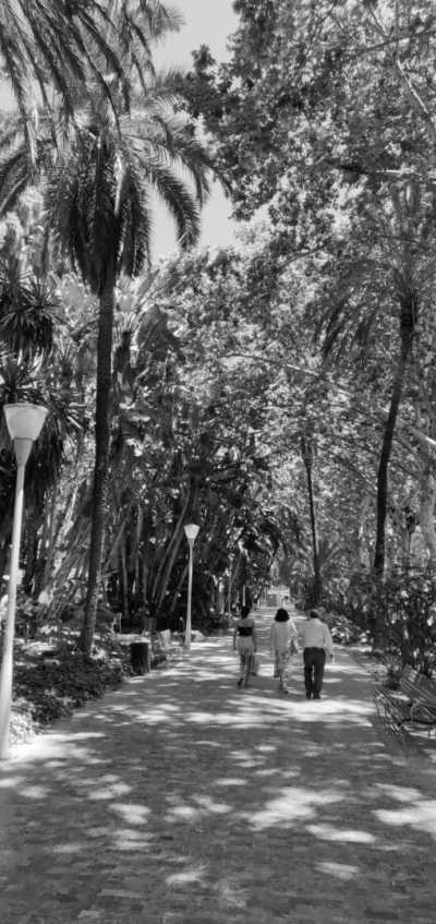 Spain - Málaga - Tour of Andalusia with a Local 🚐   🇪🇦 🌴: Malaga Sevilla Granada Nerja, Crystal Clear Water, Tapas, and much more! - 4