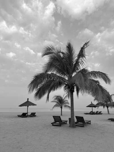 Senegal - Toubab Dialao - Senegal's Summer in Winter: Explore The Culture and Excitement in West Africa - 3