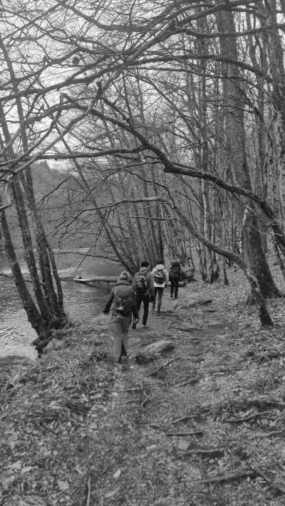 Belgium - Maboge - Explore Belgian Ardennes: Hike, Survive, and Reflect in Maboge - 2