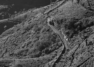 India - Munnar - Explore the Enchanting Beauty of Munnar, India: A Journey into Nature's Wonders - 2