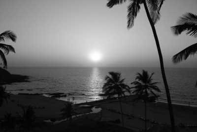 India - Goa - Immerse Yourself in Goa's Local Culture and Cuisine: Travel Like a Local in India's Vibrant Goa - 2