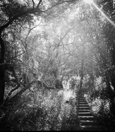 South Africa - Hennops Hiking Trail & Mtb Trail - Explore Johannesburg, South Africa - Art, Hike 🥾 Skydive 🪂 Food 🍲 - 6