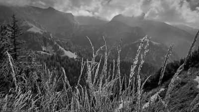 Germany - Jenner - A Magical Experience | Hiking & camping in German Alps | Walkshop Light | Berchtesgadener Land | Königsee | 5 days - 20