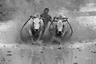 Nepal - Pokhara - Celebrate Mud Festival with Locals in Nepal - Mud Games, Rice Planting, Folk Songs, Local Foods | Eco-Tourism Trip - 1