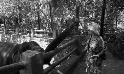 Indonesien - Lombok Wildlife Park - Backpacking Through Lombok Island in Indonesia - 4